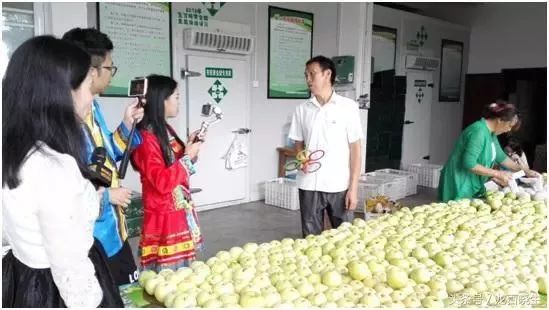 农产品电商定制服务_农产品电商定义_农产品定制化