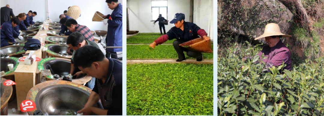 茶叶盒包装批发市场_茶叶包装盒批发定制_茶叶批发盒定制包装设计