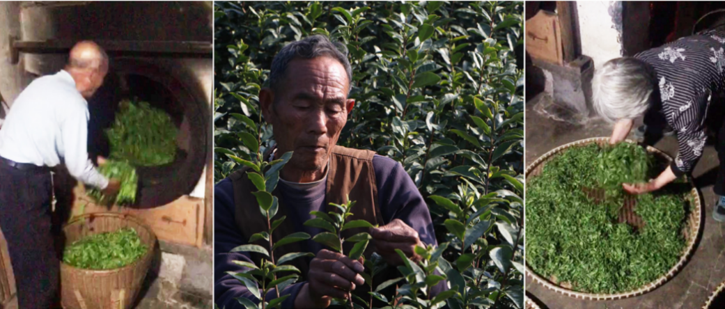茶叶包装盒批发定制_茶叶批发盒定制包装设计_茶叶盒包装批发市场