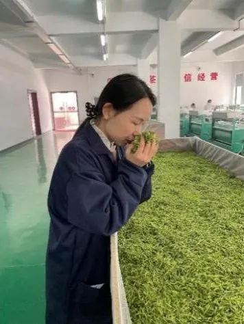 茶叶盒包装批发市场_茶叶批发盒定制包装设计_茶叶包装盒批发定制