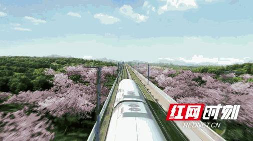 茶叶包装盒定制厂家_茶叶包装盒定制电话_茶叶礼盒定制厂家
