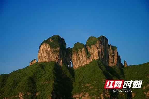 茶叶包装盒定制厂家_茶叶礼盒定制厂家_茶叶包装盒定制电话