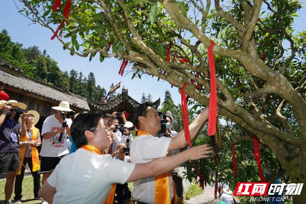 茶叶礼盒定制厂家_茶叶包装盒定制电话_茶叶包装盒定制厂家
