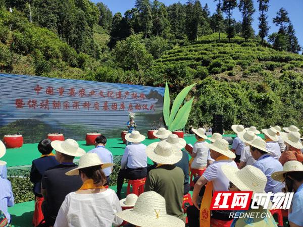 茶叶包装盒定制电话_茶叶包装盒定制厂家_茶叶礼盒定制厂家