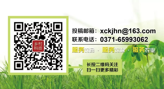 农村电商创新升级路径研究